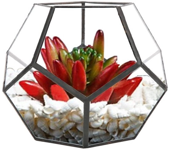 Vaso per piante in vetro geometrico per piante grasse e decorazione