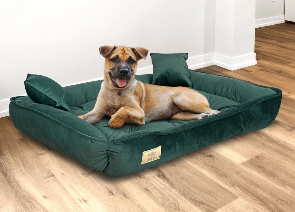 AIO FACTORY Letto per cani 75x65 cm Velluto verde scuro impermeabile