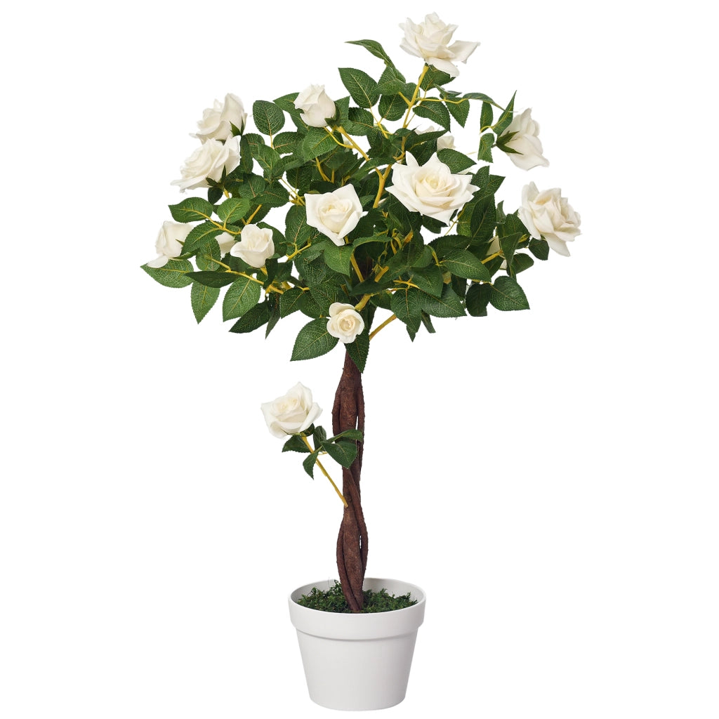 Pianta artificiale ¨C zephmum ¨C in vaso di cemento