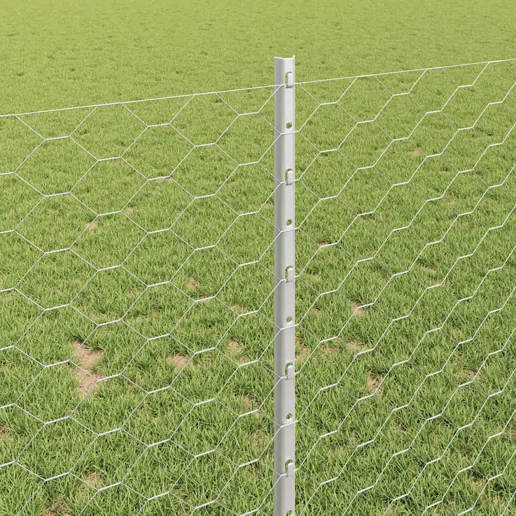 Recinzione da Giardino | Recinzione con Posto Argento