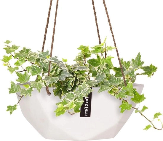 Pianta in vaso geometrico moderno appeso per interni e esterni con cavo di corda per piante - decorazione fiorita per finestre e soffitti