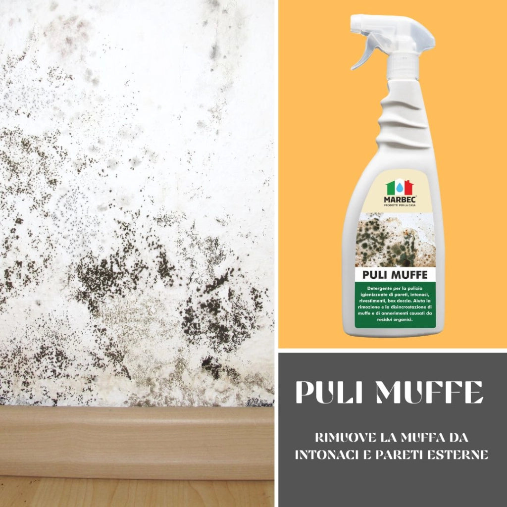Detergente per rimuovere muffa PULI MUFFE   750MLx6Pz