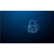 4gb ironkey locker plus 50 g2 - IKLP50G2/64GB