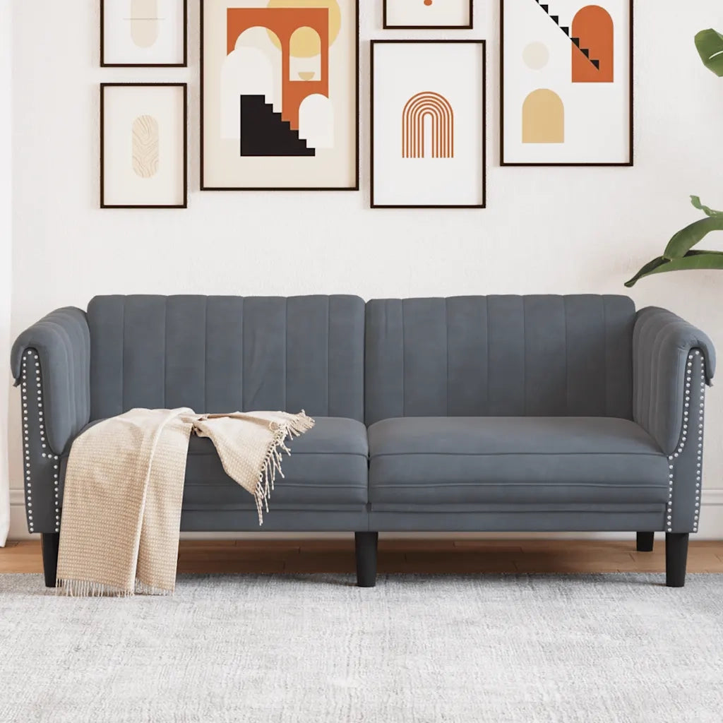 Divano | Divano da soggiorno | Sofa a 2 Posti Grigio Scuro in Velluto