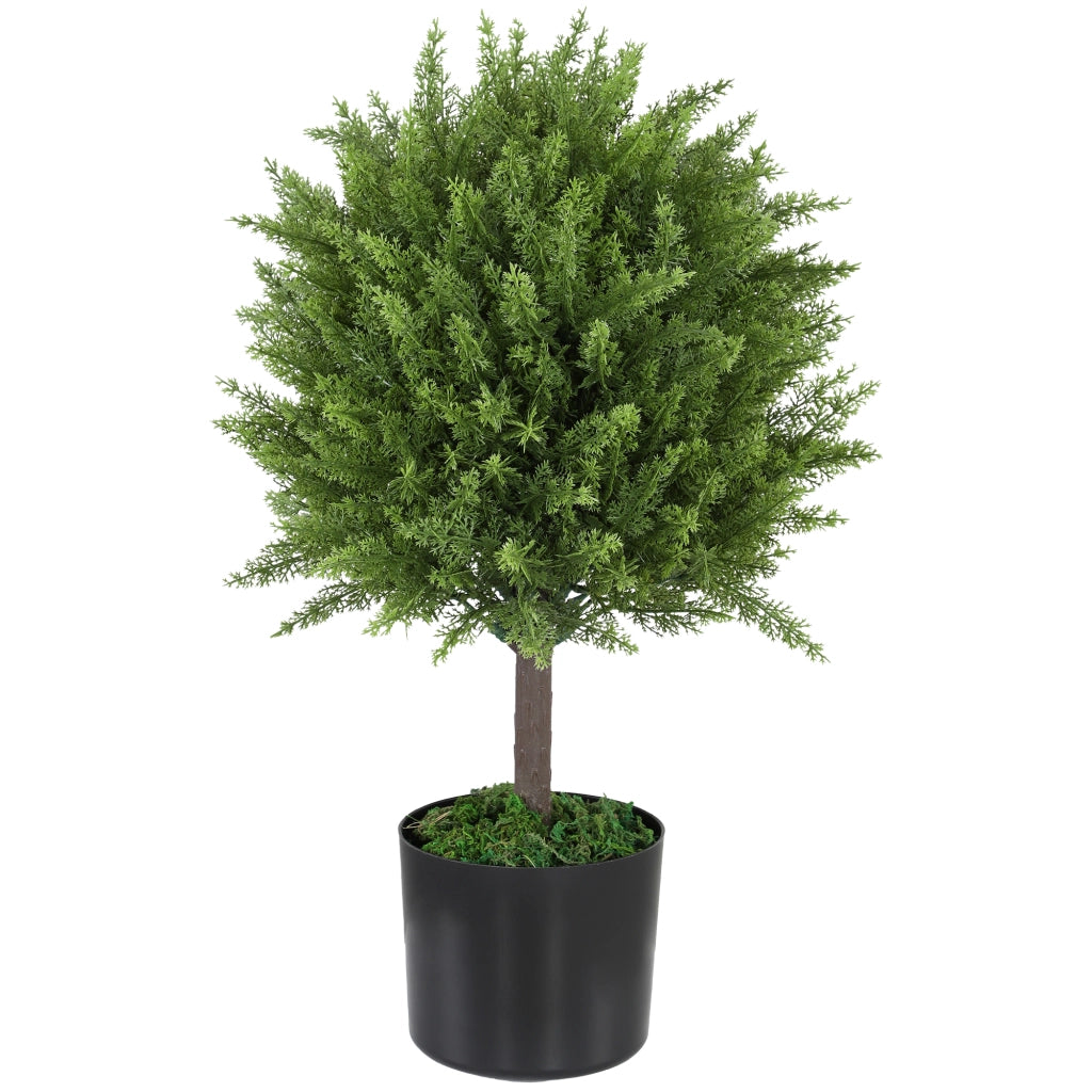 Albero Finto Cedro con Vaso ¨C Minimal ¨C Verde 55 cm