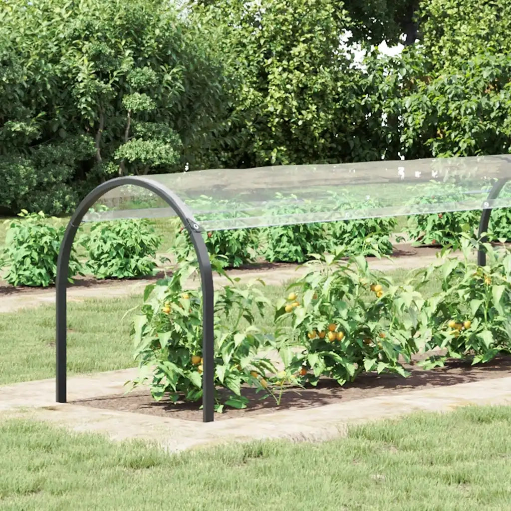 Telone Trasparente con Occhielli 1x8 m in PVC