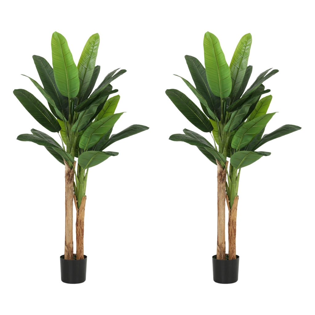 Pianta Artificiale Banano 150cm ¨C Xylo ¨C Set 2 Pezzi con Vaso
