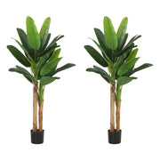 Pianta Artificiale Banano 150cm ¨C Xylo ¨C Set 2 Pezzi con Vaso