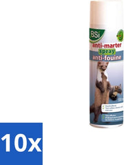 Spray Antimatterico per Auto e Casa - 500 ml - Confezione in Bulk - 10 pezzi