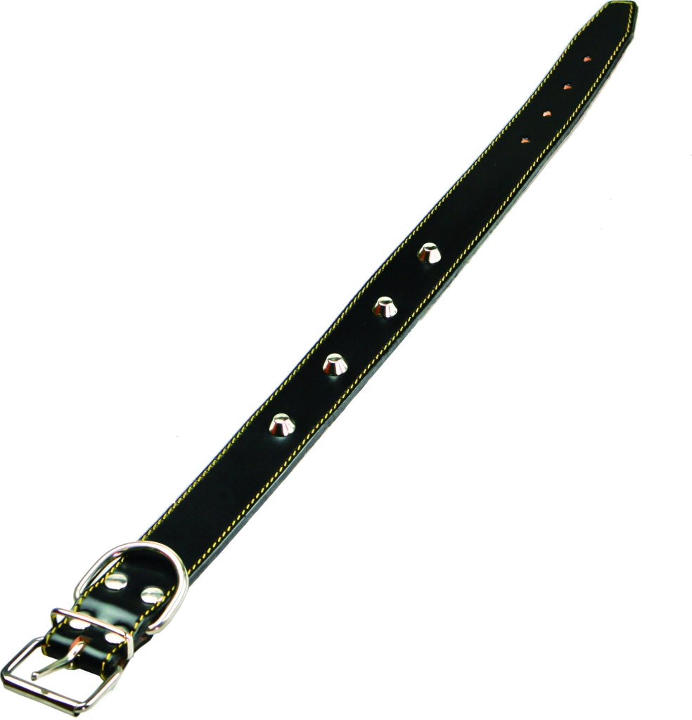 COLLARE PER CANI FODERATO CON BORCHIE 20x440 mm