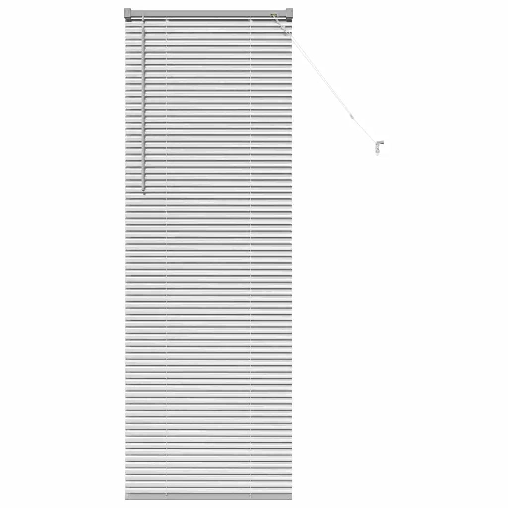 Tendaggi a Veneziana | Tenda a lamelle Argento 175 x 60 cm Alluminio