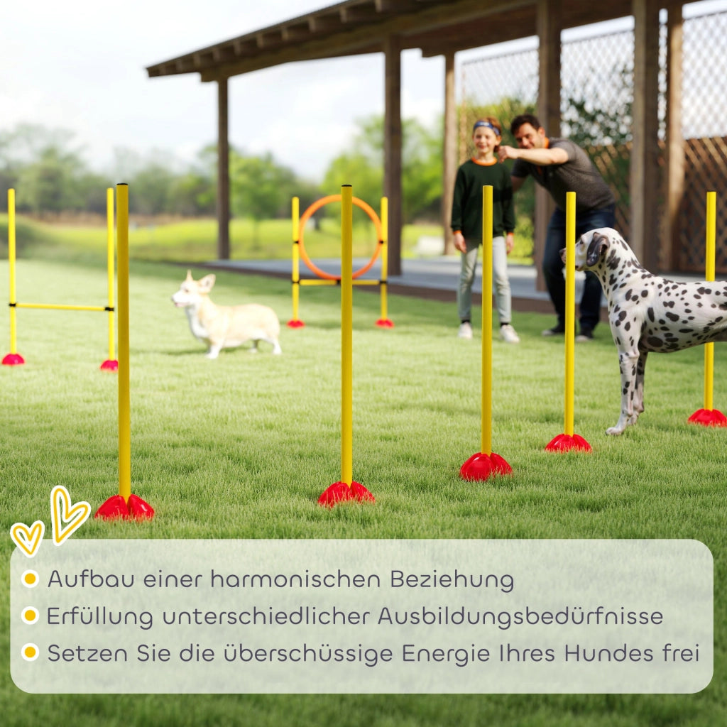 Set Agility per Cani ¨C zephmum ¨C 3 Pezzi, H¨¹rden e Stanghe