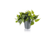 PLANT SOLO PIANTA FINTA DI SOSTITUZIONE PER LAMPADARIO A SOSPENSIONE ARTICOLO. 301000367