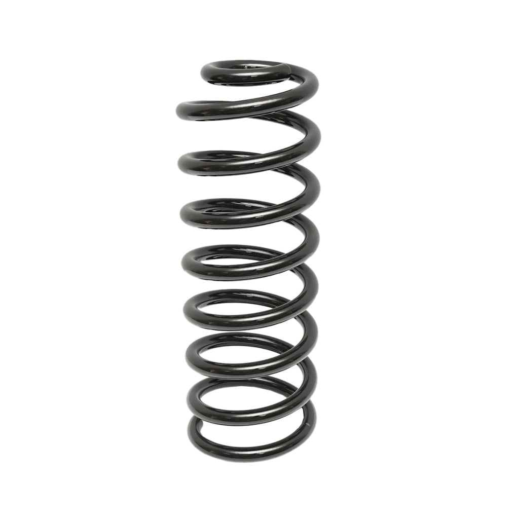 Molla posteriore Dacia Logan 6001547493