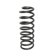 Molla posteriore Dacia Logan 6001547493
