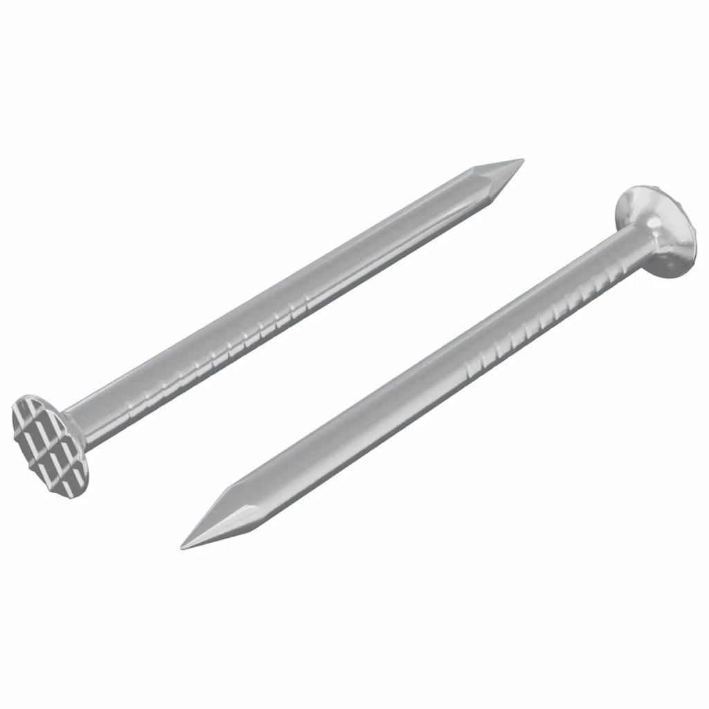 Chiodi per Legno 2 pcs Argento Ø 3 x 15 mm Metallo 864373