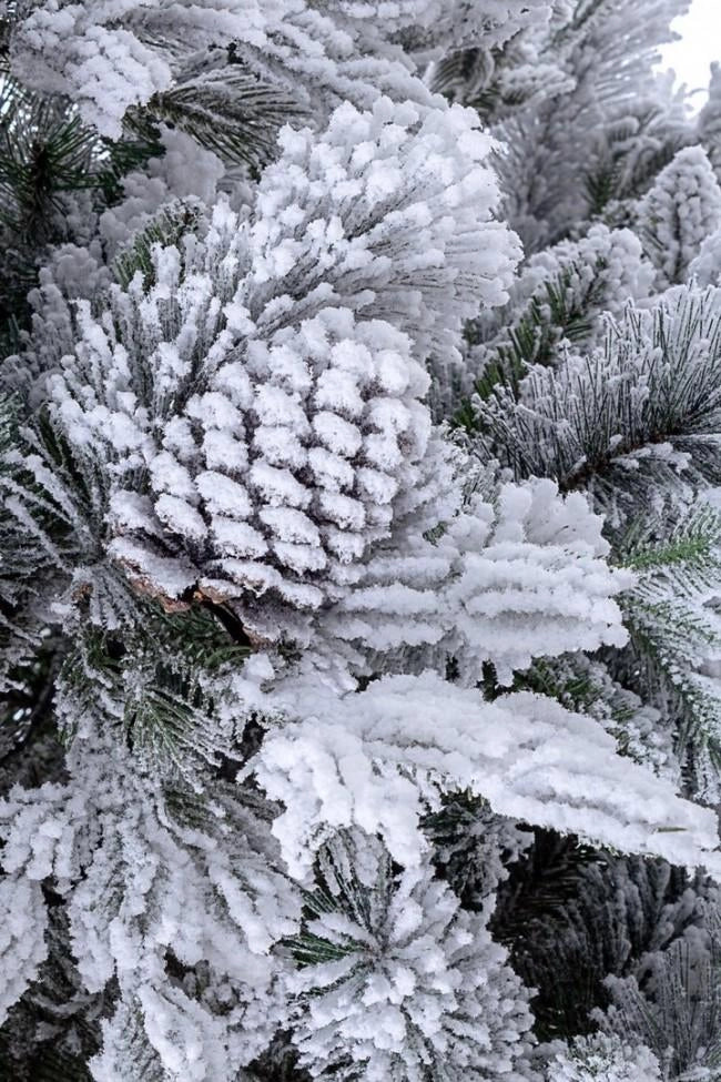 Albero di Natale Artificiale Innevato 240 cm 2513 Rami Verde