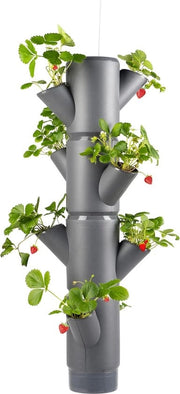 Pianta Verticale - Sacchetto per Piante Appeso - Indoor e Outdoor - Adatto per Terrazza