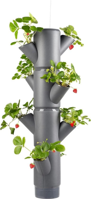 Pianta Verticale - Sacchetto per Piante Appeso - Indoor e Outdoor - Adatto per Terrazza