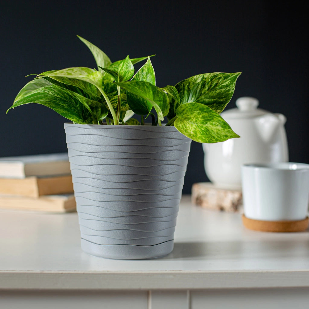 Vaso da fiori KADAX da 11 cm, coprivaso in plastica con supporto.