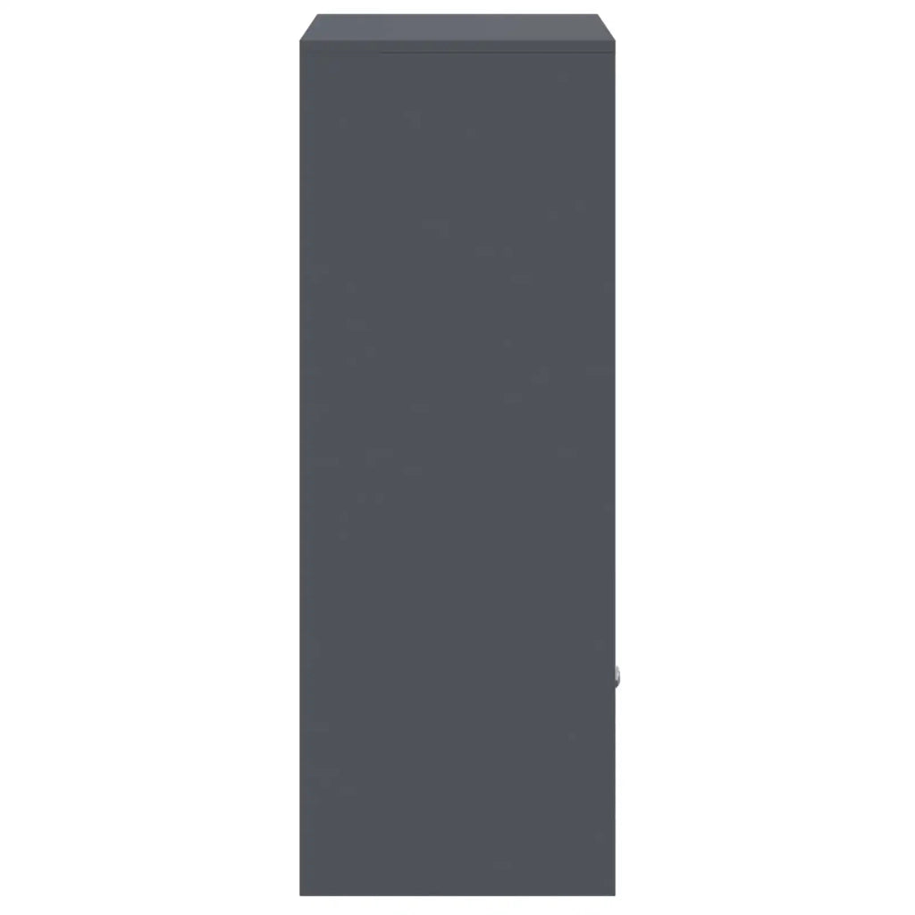 Cassetta per pacchi Antracite 41 x 38 x 103 cm Acciaio 874935