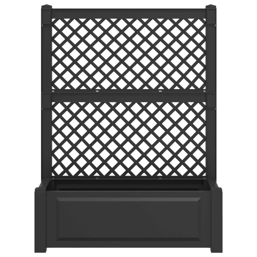 Vaso Grande con Direzione Antracite 99,5 x 43 x 133,5 cm PP CFW9091405