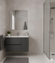 Mobile Bagno HEIMDALL Già Montato 2 cassetti e porta, lavabo e specchio Grafite 80x40 cm