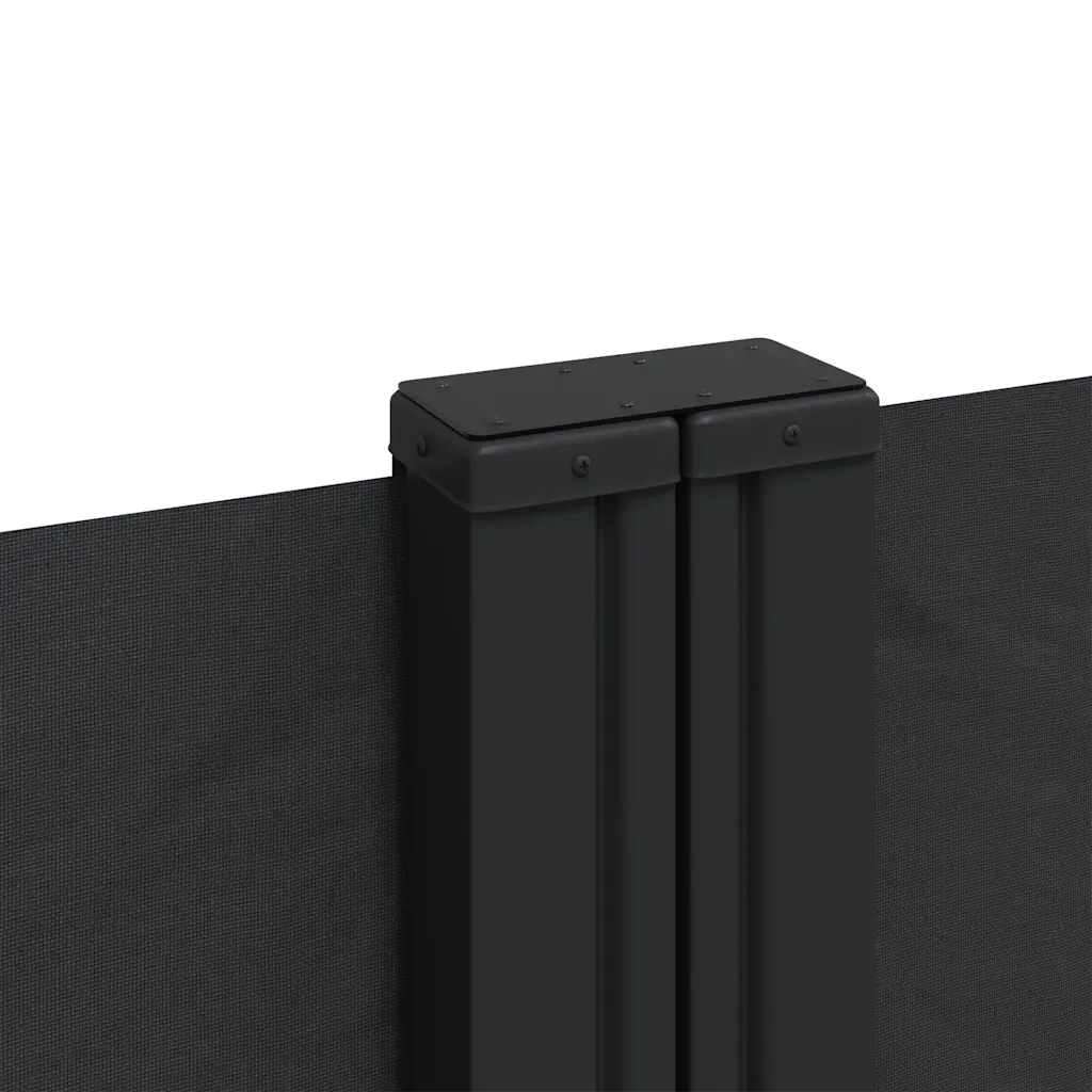 Tenda da Sole Laterale Retrattile Nera 120x600 cm 4004594