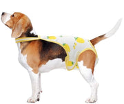 Abbigliamento per cani Reutilizzabile - Pantaloncino per cani - Cinture regolabili - Tessuto respirante morbido - Lavabile - Grande - Pantaloncini per cani