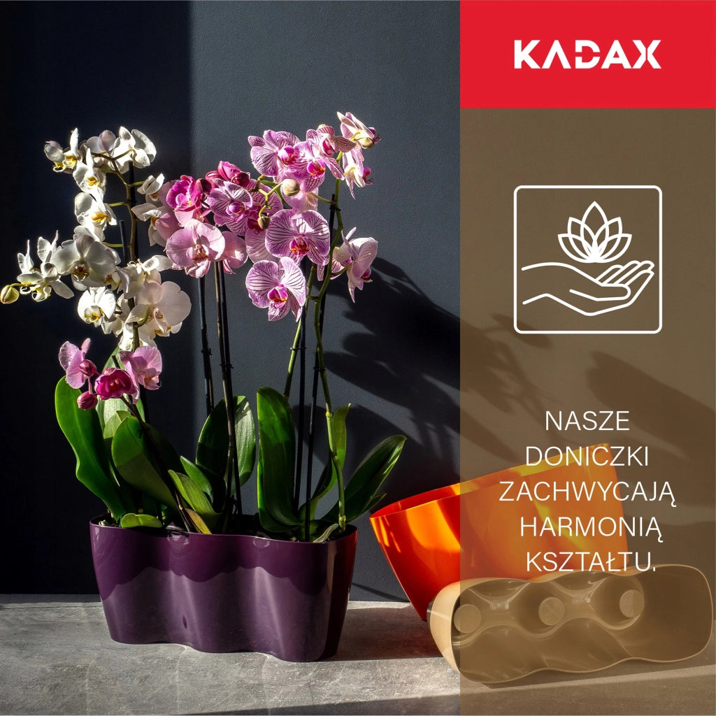 Vaso da fiori KADAX, Vaso da fiori, Vaso da fiori in plastica, Orchidea, 35 cm, Beige