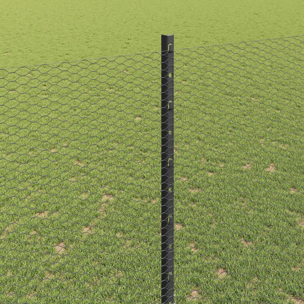 Recinzione da Giardino | Recinzione con Posto Grigio