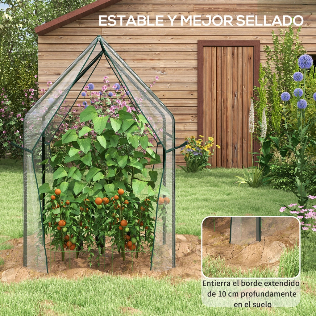 Serra da Giardino ¨C ZephMum ¨C 90x90x145 cm Trasparente
