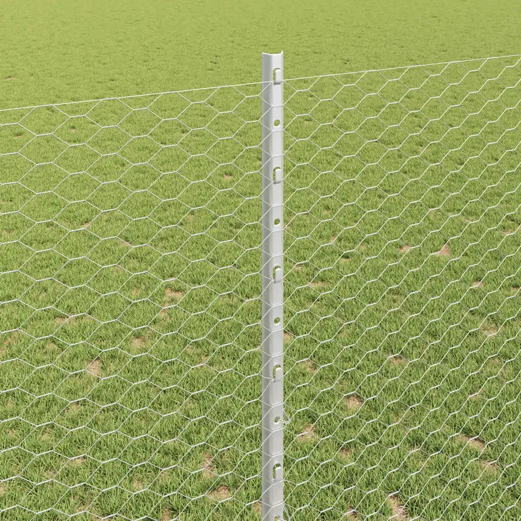 Recinzione da Giardino | Recinzione con Posto Argento