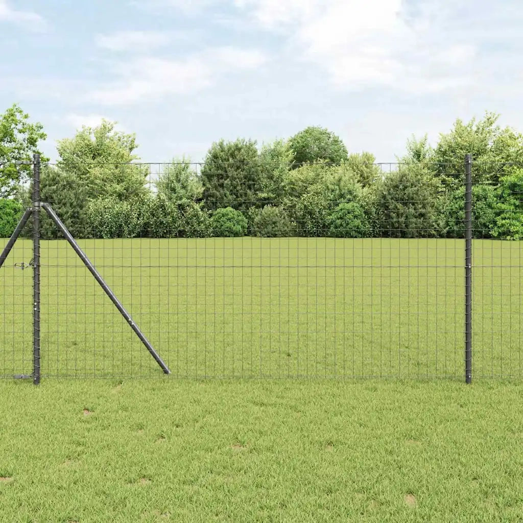 Recinzione Euro Grigio 1 x 25 m Ferro rivestito in PVC 42004517