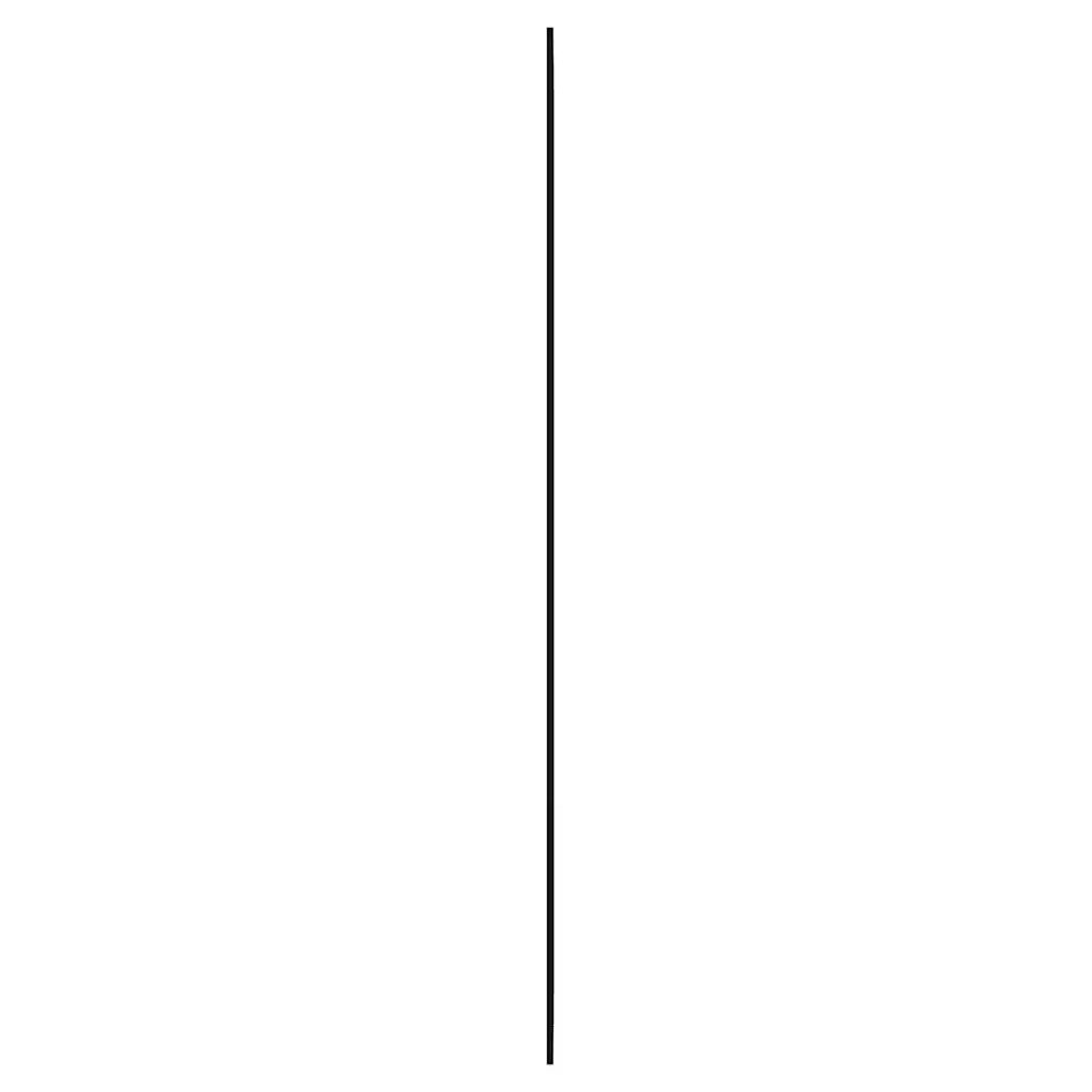 Specchio da Parete | Specchio decorativo 50x80 cm Vetro Rettangolare