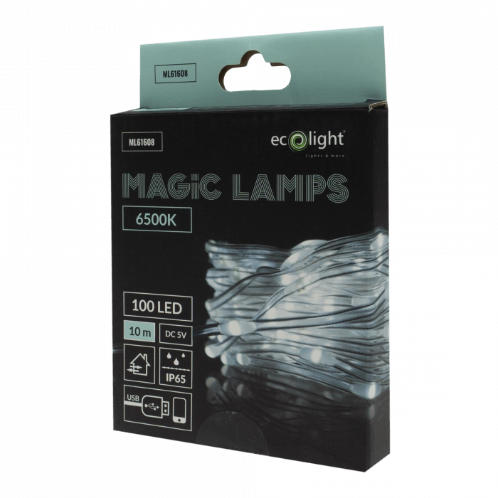 Luci Natale esterne 10m 100LED 6500K BT USB Ecolight