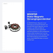 Stator Magneto Ricambio per KRT750 Teryx4 2012-2023