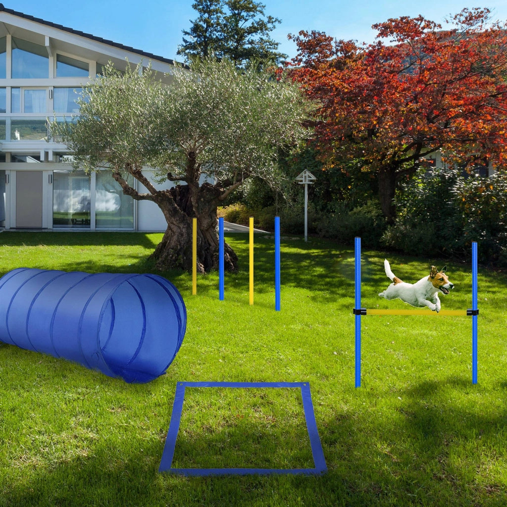 Set Agility per Cani Regolabile ¨C Xylo ¨C Tunnel Ostacoli Slalom Blu