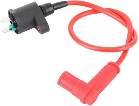 Sistema di Raffreddamento per Motori - Prestazioni Stabili - Adatto per Motocicli - Portatile e Facile da Utilizzare - Utilizzo Multiplo - Compatibile con GPX/SSR/PitsterPro - Bobina