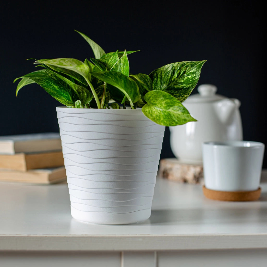 Vaso da fiori KADAX da 19 cm con coperchio e supporto, supporto per fiori in plastica