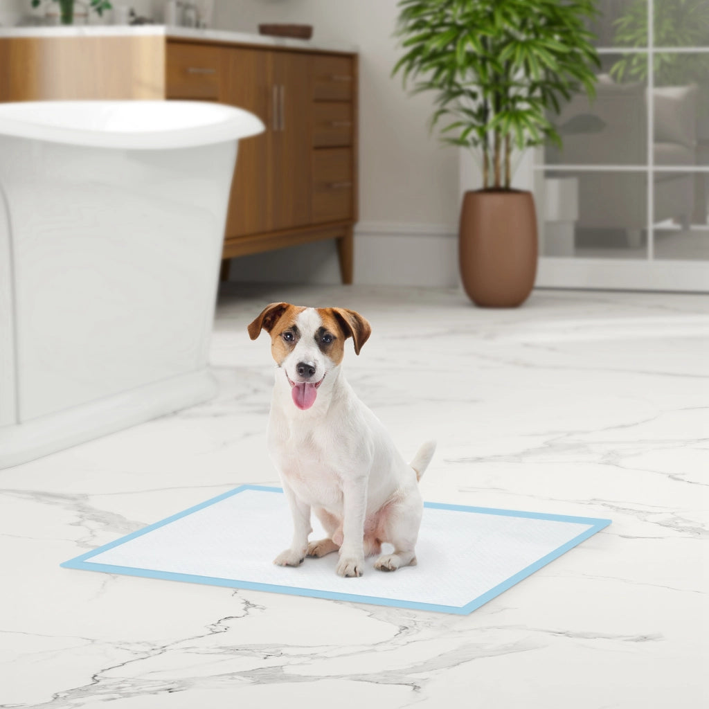 Tappetini Igienici per Cani ¨C Minimal ¨C Blu e Bianco 45x60 cm