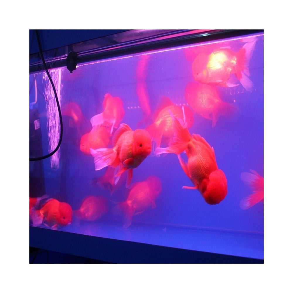 Trade Shop - Lampada Immersione Led Per Acquario Tubo Led T4 Dee Luce Pesci Rgb -