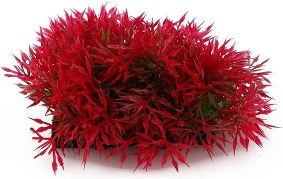 Decorazione Acquario Plastica Onda con Pianta Artificiale Erba e Pesce - Rosso Sanguigno