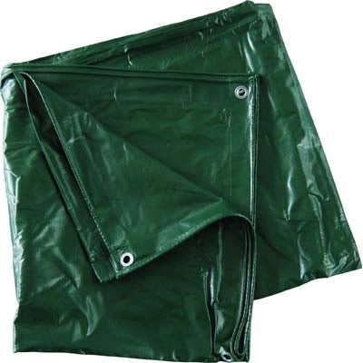 TELONE OCCHIELLATO PVC PESANTE VERDE EFFE  GR/MQ 540 MT 3X4