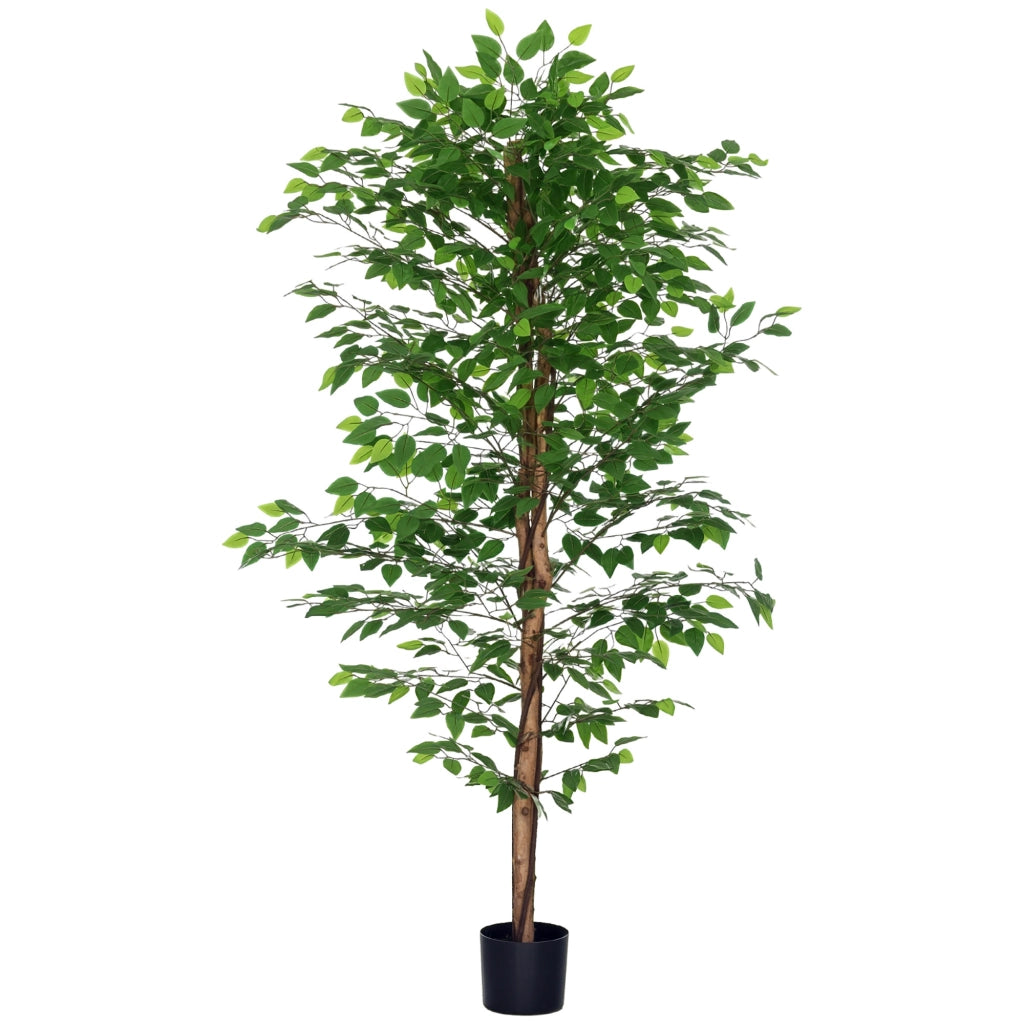 Ficus Artificiale con Tronchi Naturali 180 cm ¨C Minimal ¨C Verde