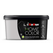 HOME COLOR SUPERLAVABILE  2,5L SILVER