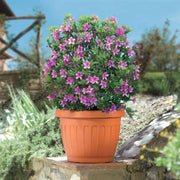 VASO DA GIARDINO TERRA TONDO 45CM