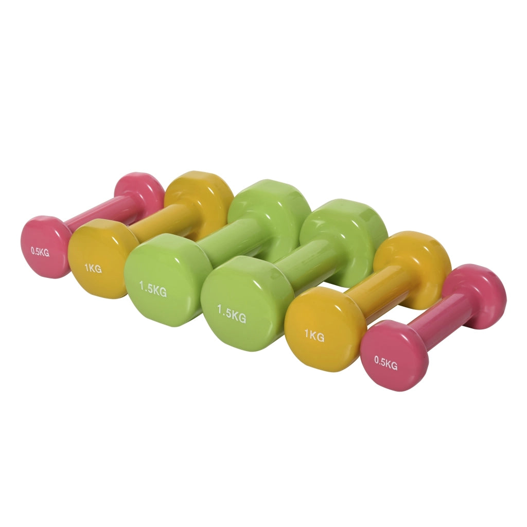 Set manubri pesi con valigetta ¨C Minimal ¨C 0.5kg 1kg 1.5kg in acciaio e PU