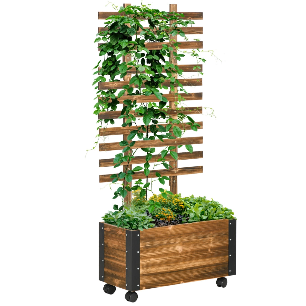 Fioriera con Traliccio per Rampicanti ¨C Xylo ¨C Legno Abete Marrone 65x31x147 cm