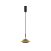 Maytoni Sospensione moderna El 1 luce LED integrato nero ottone metallo